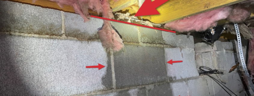 home inspection in a Murfreesboro crawl space, Smith & Smith Home Inspections